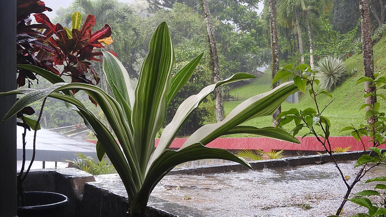 Monique'S Guest House Maraval Exterior photo
